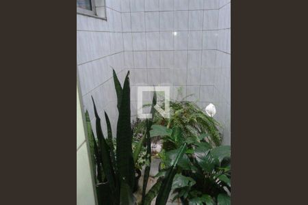 Casa à venda com 3 quartos, 150m² em Parque das Arvores, São Paulo