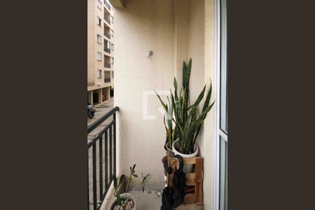 Varanda de apartamento à venda com 2 quartos, 44m² em Jardim Paraguacu, São Paulo