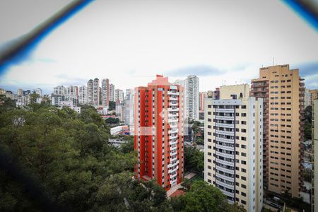 Apartamento à venda com 3 quartos, 300m² em Vl Andrade - Morumbi, São Paulo