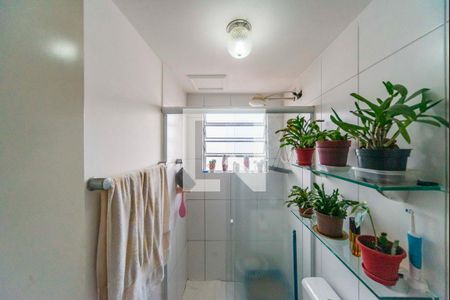 Banheiro  de apartamento para alugar com 2 quartos, 48m² em Parque Sao Vicente, Santo André