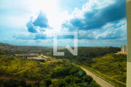 Vista - Sala de Estar e Quarto 01 de apartamento à venda com 2 quartos, 46m² em Buritis, Belo Horizonte