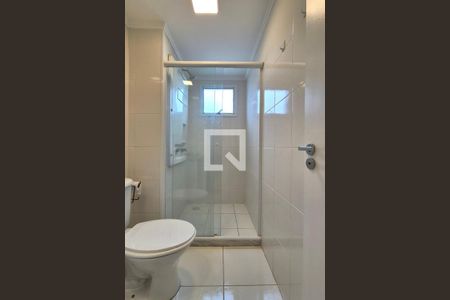 Banheiro de apartamento para alugar com 2 quartos, 65m² em Jardim Santa Eudoxia, Campinas