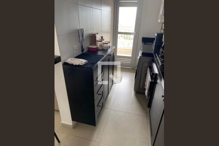 Cozinha de apartamento para alugar com 2 quartos, 56m² em Vila Ipe, Hortolândia