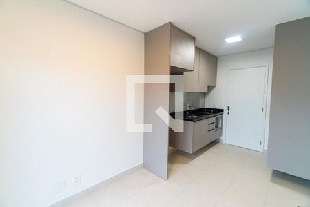 Sala/Cozinha de apartamento para alugar com 1 quarto, 30m² em Planalto Paulista, São Paulo