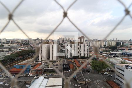 Apartamento para alugar com 2 quartos, 50m² em Vila Guilherme, São Paulo