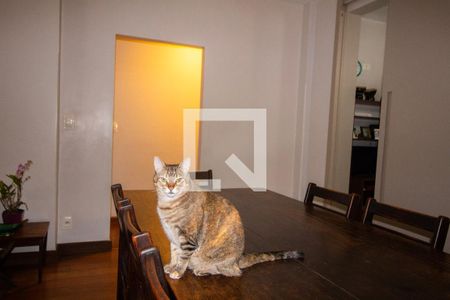 Sala  de apartamento para alugar com 4 quartos, 145m² em Luxemburgo, Belo Horizonte