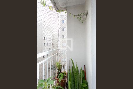 Varanda da Sala de apartamento à venda com 2 quartos, 89m² em Vila Curuçá Velha, São Paulo