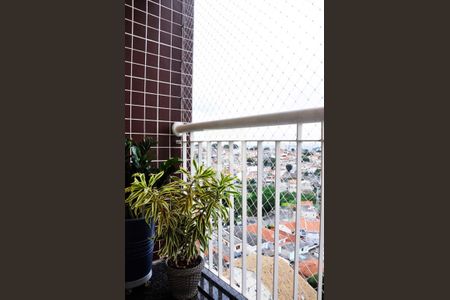 Apartamento à venda com 3 quartos, 65m² em Parque Maria Domitila, São Paulo
