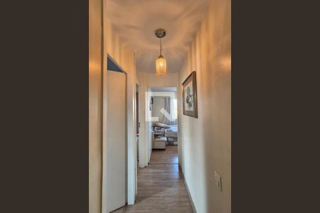 Corredor  de apartamento à venda com 3 quartos, 64m² em Jardim Ipaussurama, Campinas