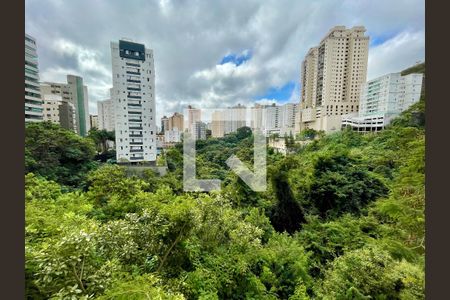 Apartamento à venda com 3 quartos, 95m² em Sion, Belo Horizonte