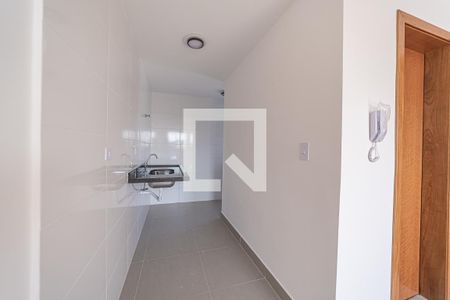 Cozinha de apartamento para alugar com 2 quartos, 33m² em Vila Santa Teresa, São Paulo