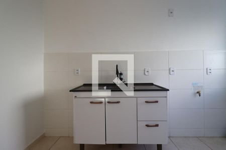 Cozinha de apartamento para alugar com 2 quartos, 46m² em Valentina Figueiredo, Ribeirão Preto