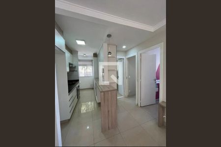 Cozinha de apartamento para alugar com 2 quartos, 52m² em Jardim Amazonas, Campinas