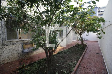 Varanda de apartamento para alugar com 3 quartos, 81m² em Freguesia (jacarepaguá), Rio de Janeiro