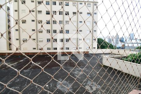 Sala - Vista de apartamento à venda com 2 quartos, 81m² em Cambuí, Campinas