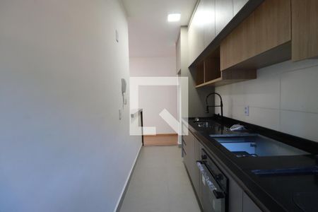 Cozinha  de apartamento para alugar com 2 quartos, 59m² em Terras de Santa Marta, Ribeirão Preto