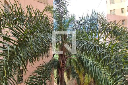 Vista do Quarto 1  de apartamento para alugar com 3 quartos, 19m² em Loteamento Parque São Martinho, Campinas