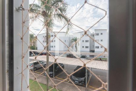Vista do Quarto 1 de apartamento à venda com 2 quartos, 67m² em Jardim das Bandeiras, Campinas