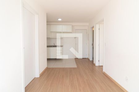 Sala - Cozinha de apartamento para alugar com 2 quartos, 40m² em Vila Butantã, São Paulo