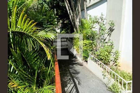 Apartamento para alugar com 2 quartos, 62m² em Méier, Rio de Janeiro