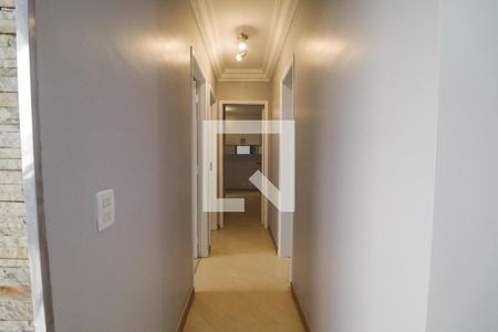 Corredor de apartamento para alugar com 3 quartos, 78m² em Jardim das Laranjeiras, São Paulo