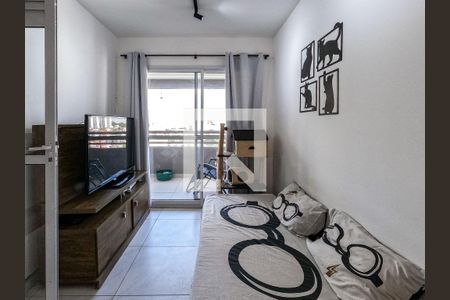 Apartamento à venda com 3 quartos, 66m² em Vila Cruz das Almas, São Paulo