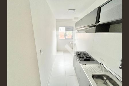 Cozinha e Área de Serviço de apartamento para alugar com 2 quartos, 40m² em Jardim São Paulo, São Paulo