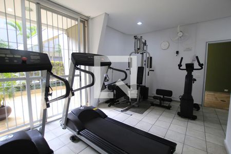 Apartamento para alugar com 3 quartos, 73m² em Vila Mariana, São Paulo
