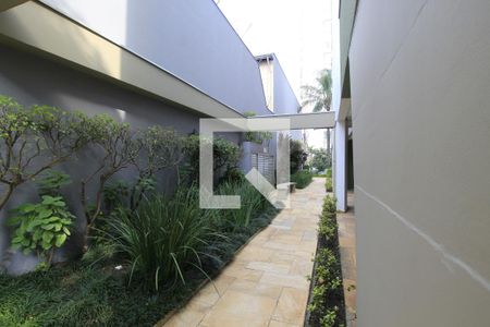 Apartamento para alugar com 3 quartos, 73m² em Vila Mariana, São Paulo