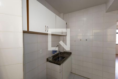 Cozinha de apartamento para alugar com 2 quartos, 65m² em Santo Antônio, Belo Horizonte