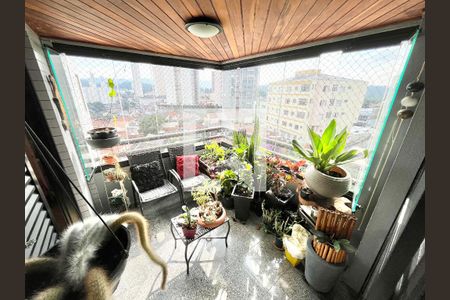 Varanda da Sala / Escritório de apartamento para alugar com 4 quartos, 140m² em Parque Mandaqui, São Paulo