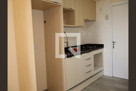Cozinha e Área de Serviço de apartamento para alugar com 2 quartos, 3255m² em Vila Graciosa, São Paulo
