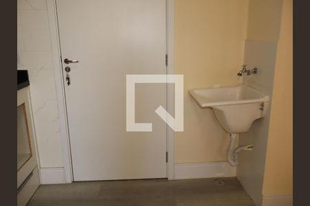 Cozinha e Área de Serviço de apartamento para alugar com 2 quartos, 3255m² em Vila Graciosa, São Paulo