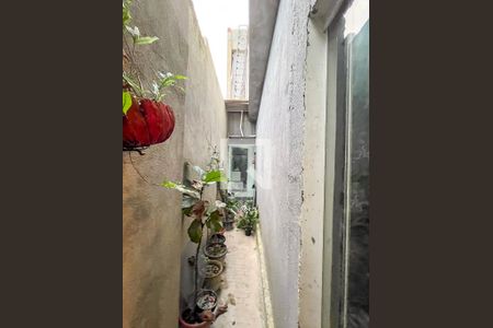 Jardim de Inverno de casa à venda com 2 quartos, 300m² em Vila Santo Estefano, São Paulo