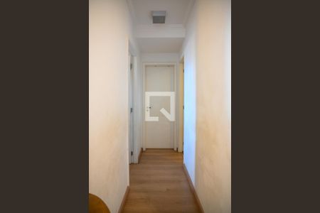 Corredor de apartamento à venda com 2 quartos, 69m² em Vila Vermelha, São Paulo