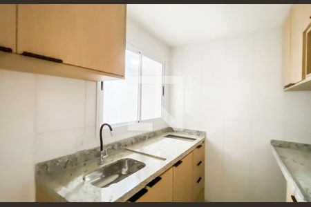 Cozinha / área de serviço  de apartamento para alugar com 1 quarto, 25m² em Vila Sao Geraldo, São Paulo