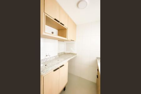 Cozinha/ área de serviço  de apartamento para alugar com 1 quarto, 25m² em Vila Sao Geraldo, São Paulo