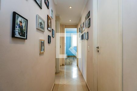 Corredor de apartamento para alugar com 3 quartos, 75m² em Super Quadra Morumbi, São Paulo