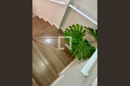 Escada de casa à venda com 2 quartos, 250m² em Jardim Dom Nery, Campinas