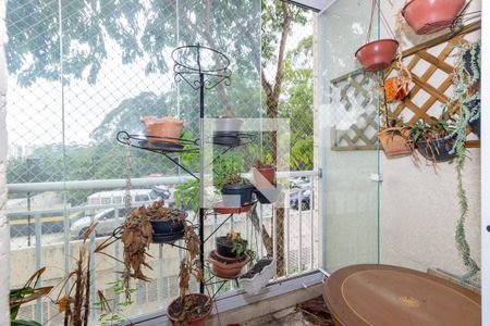 Varanda Sala de apartamento à venda com 3 quartos, 63m² em Jardim Iris, São Paulo