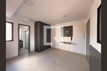 Sala/ quarto  de kitnet/studio para alugar com 1 quarto, 20m² em Vila Sao Pedro, Santo André