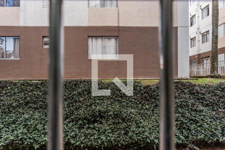 Apartamento para alugar com 2 quartos, 40m² em Jardim Marilu, São Paulo