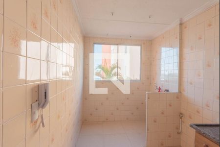 Cozinha de apartamento para alugar com 2 quartos, 59m² em Dic V (conjunto Habitacional Chico Mendes), Campinas