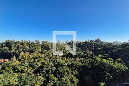 Vista da Varanda  de apartamento à venda com 2 quartos, 40m² em Jardim Ipaussurama, Campinas