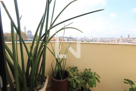 Sacada de apartamento à venda com 3 quartos, 80m² em Vila Formosa, São Paulo