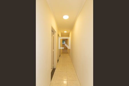 Corrdor de apartamento para alugar com 2 quartos, 50m² em Vila Maria Baixa, São Paulo