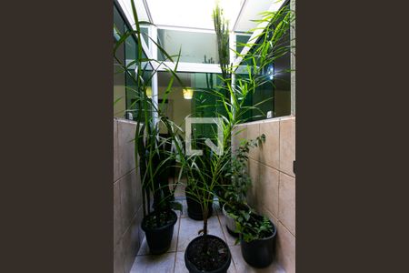 Jardim de Inverno de casa à venda com 3 quartos, 160m² em São Lucas, São Paulo