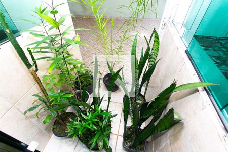 Jardim de Inverno de casa à venda com 3 quartos, 160m² em São Lucas, São Paulo