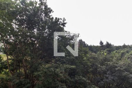 Vista da Varanda de apartamento à venda com 3 quartos, 123m² em Alphaville, Santana de Parnaíba