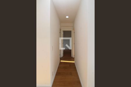 Corredor de apartamento para alugar com 2 quartos, 41m² em Parque Reboucas, São Paulo